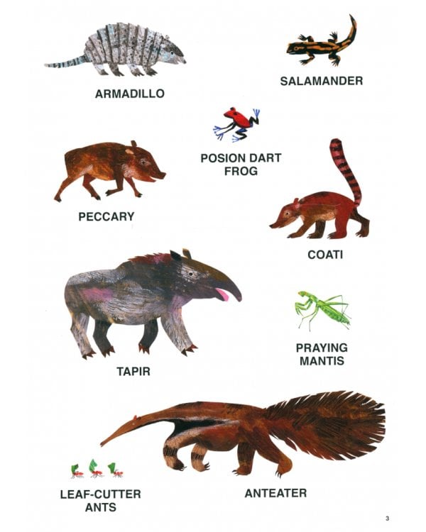 Eric Carle's Book of Amazing Animals