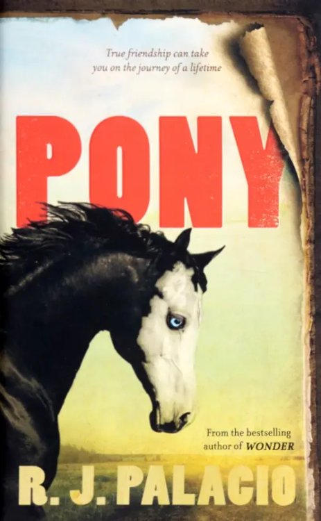 Pony Pony