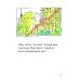 Roald Dahl. Esio Trot. Level 4