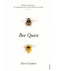 Bee Quest
