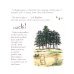 All About Pooh