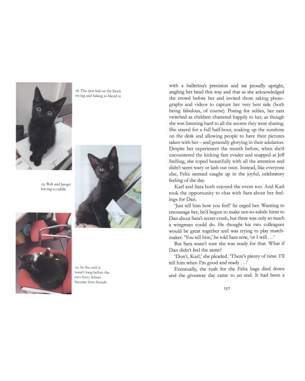 Full Steam Ahead, Felix. Adventures of a famous station cat and her kitten apprentice