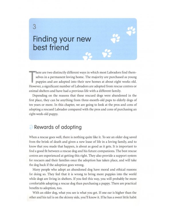 The Labrador Handbook