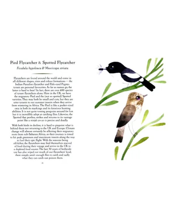 Save Our Birds. How to bring our favourite birds back from the brink of extinction