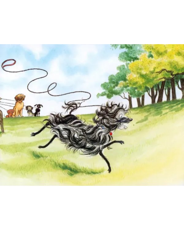 Дополнительное изображение книги «Hairy Maclary, Sit»