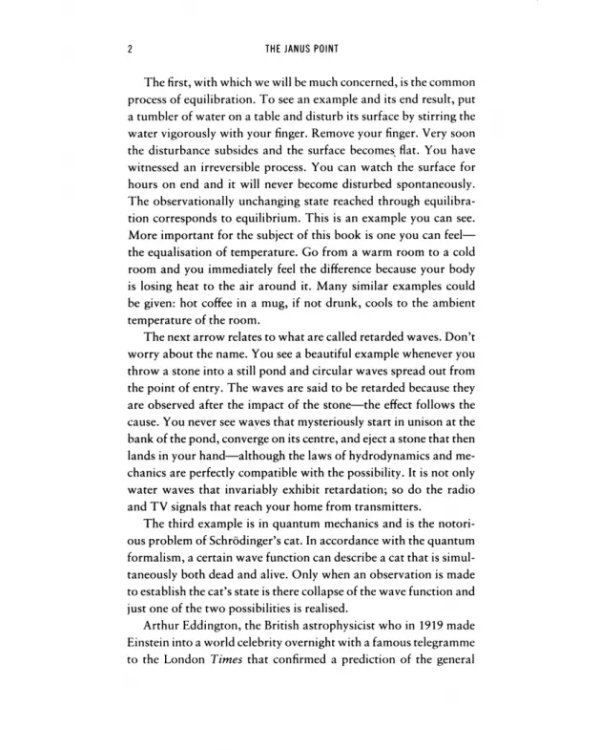 The Janus Point. A New Theory of Time