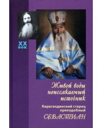 Живой воды неиссякаемый источник. Карагандинский старец преподобный Севастиан