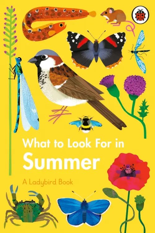 A Ladybird Book What to Look For in Summer