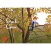 Дополнительное изображение книги «Квартетные сказки»
