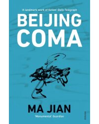 Beijing Coma