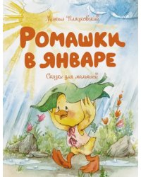Ромашки в январе.Сказки для малышей