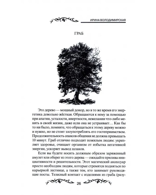 Магия леса
