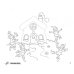 My First English Adventure 1. Activity Book