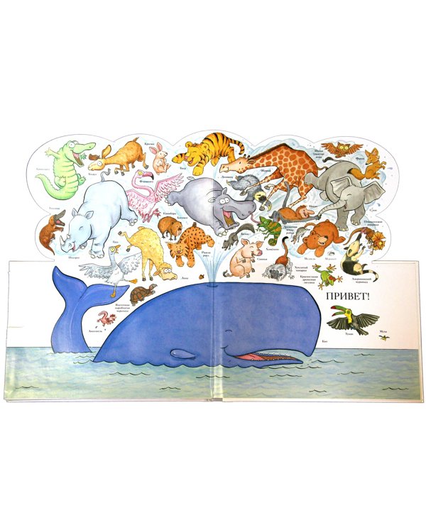 Вот так морды!