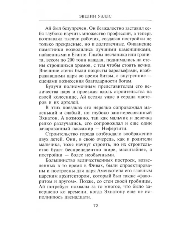 Дополнительное изображение книги «Нефертити. Повелительница Двух Земель»