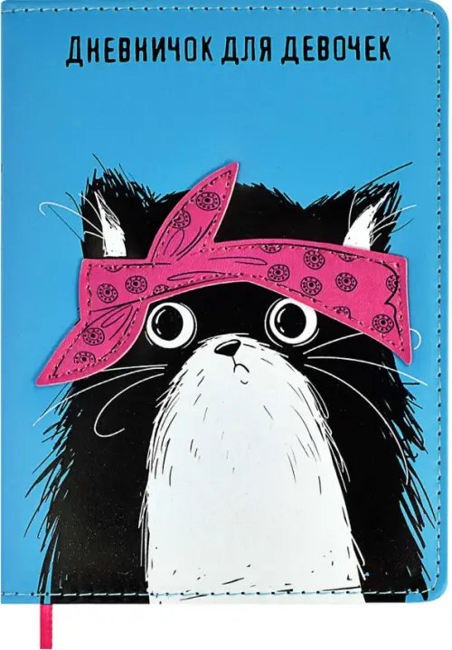 Дневничок для девочек Дневничок для девочек Кот, 96 листов, А6+