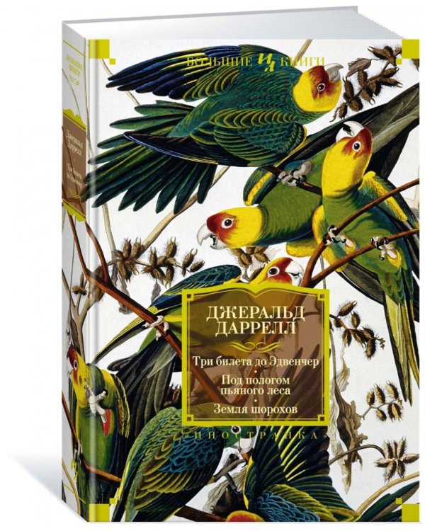 Три билета до Эдвенчер.Под пологом пьяного леса.Земля шорохов