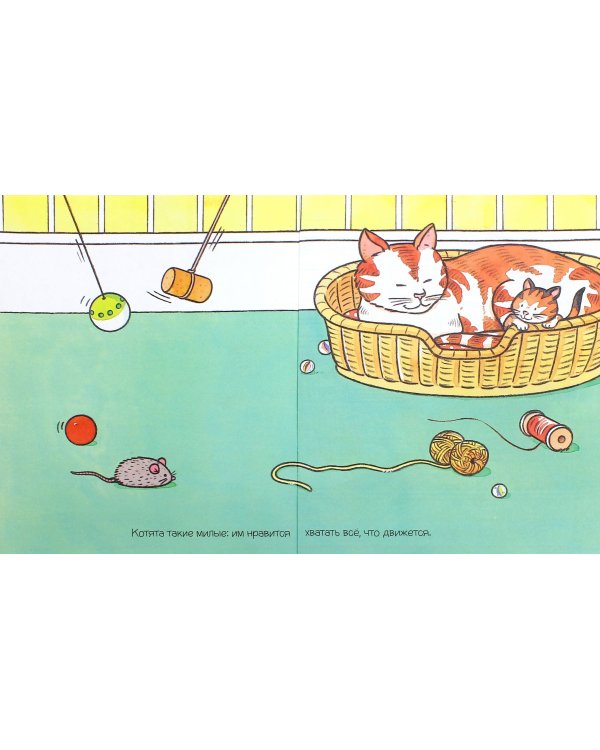 Домашние питомцы