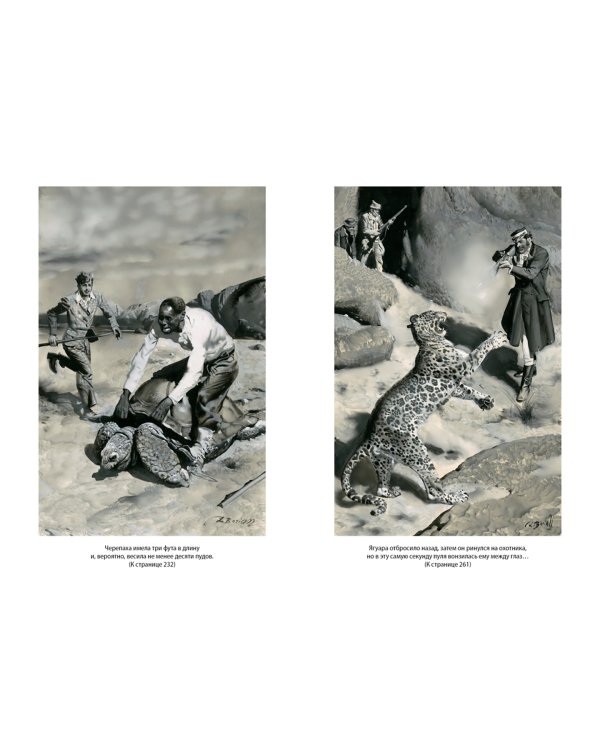 Таинственный остров