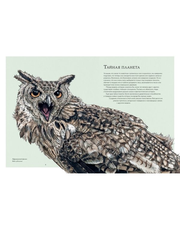Тайны дикой природы