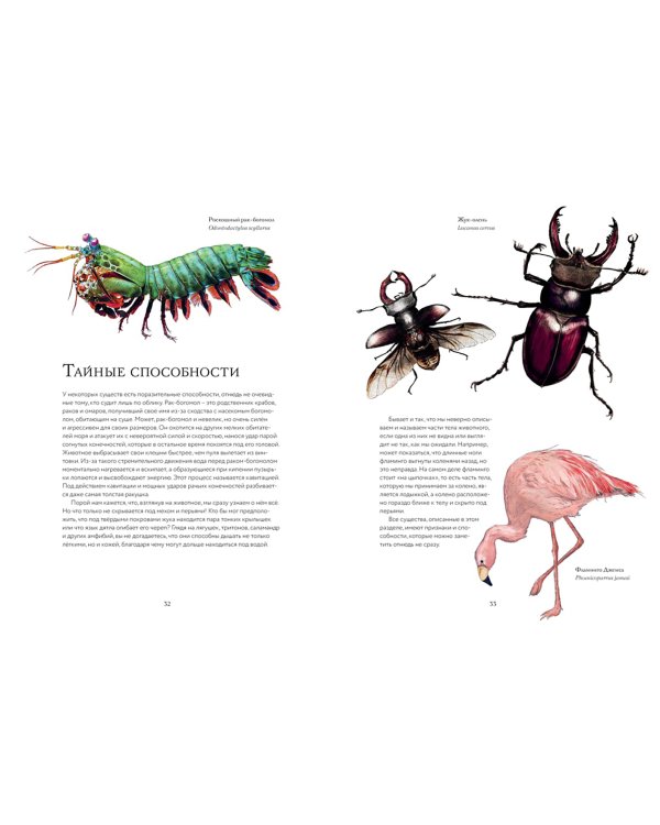 Тайны дикой природы