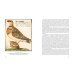 Иллюстрированная история орнитологии