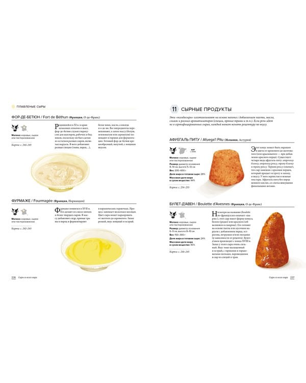 Сырный атлас гурмана. Скажите "Cheese!"