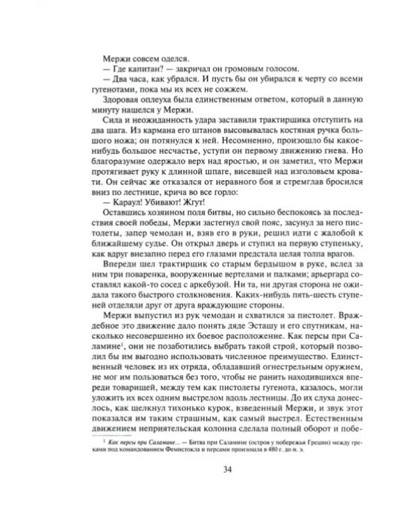 Хроника времен Карла IX