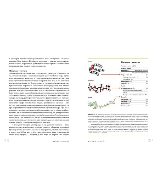 Наука и кулинария. Физика еды. От повседневной до высокой кухни