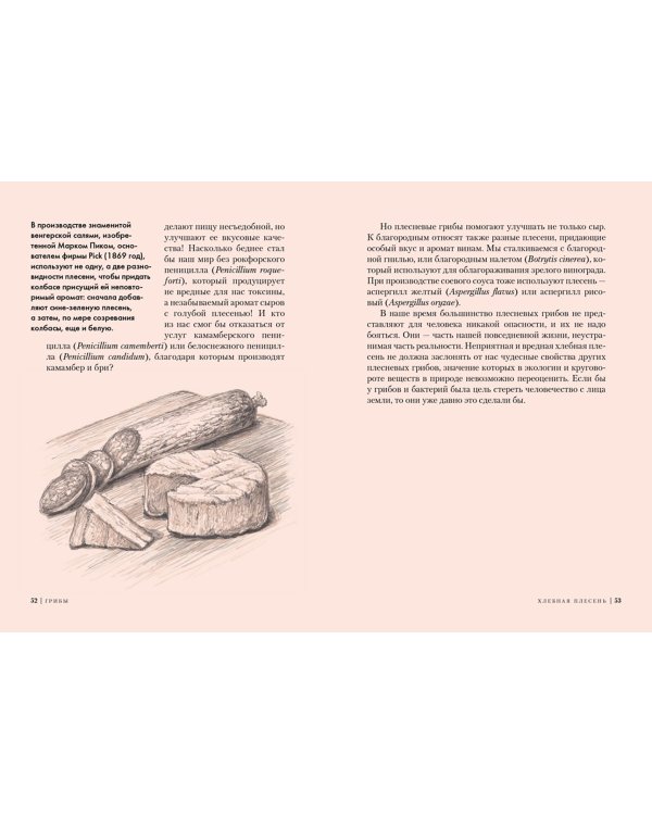 Грибы.Обитатели скрытого мира