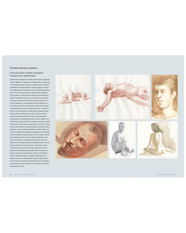 Основы анатомии человека. Наглядное руководство для художников