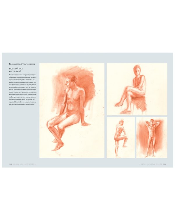 Основы анатомии человека. Наглядное руководство для художников
