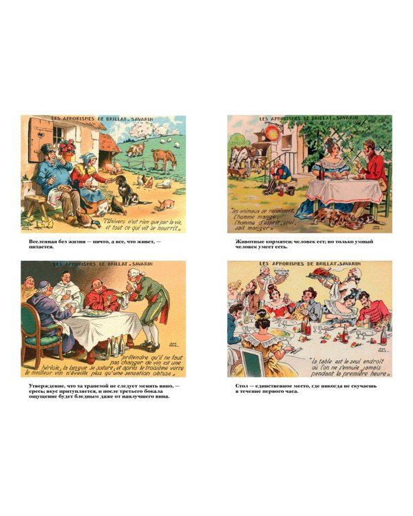 Физиология вкуса