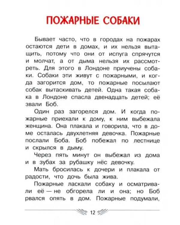 Рассказы и сказки
