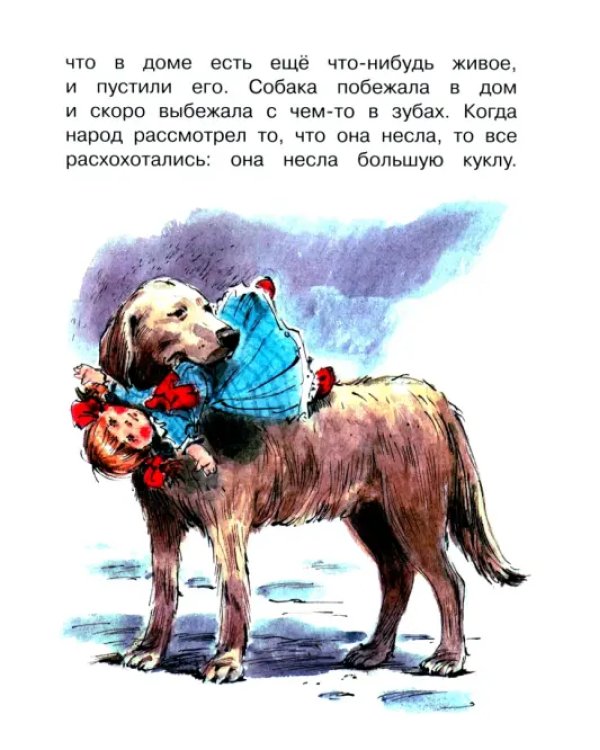 Рассказы и сказки