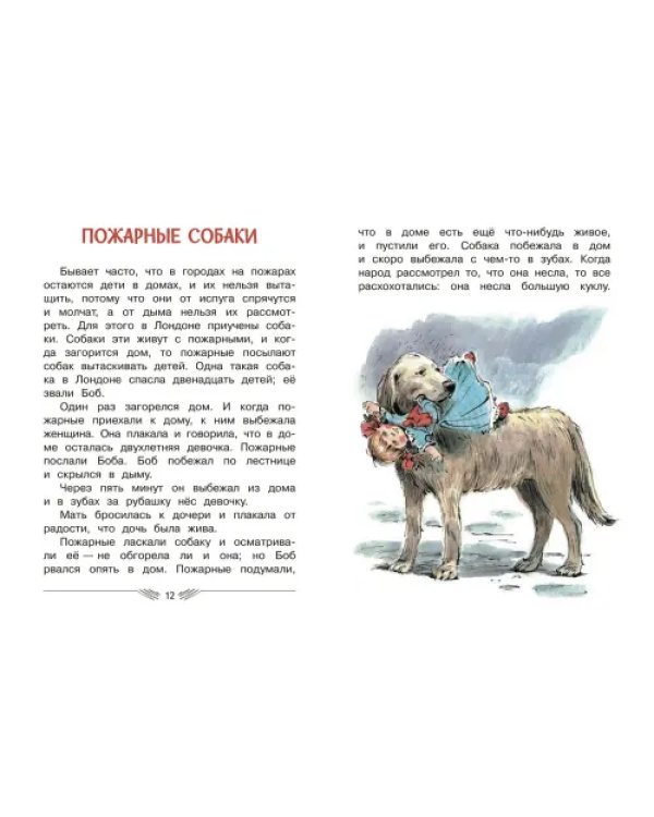 Рассказы и сказки