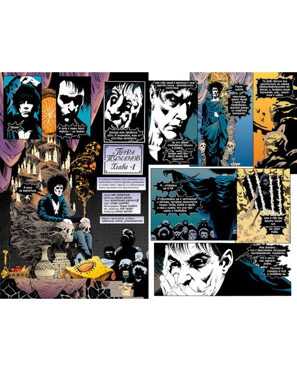 The Sandman. Песочный человек. Книга 4. Пора туманов