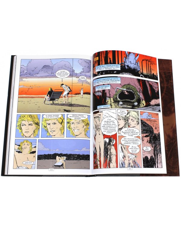 The Sandman. Песочный человек. Книга 4. Пора туманов