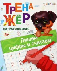 Тренажёр по чистописанию Пишем цифры и считаем