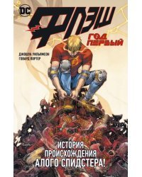 Флэш. Год первый