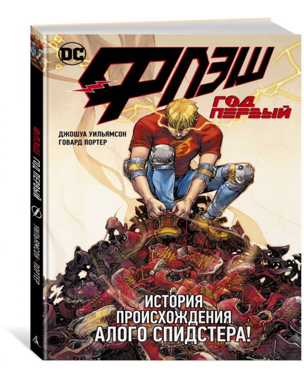 Флэш. Год первый
