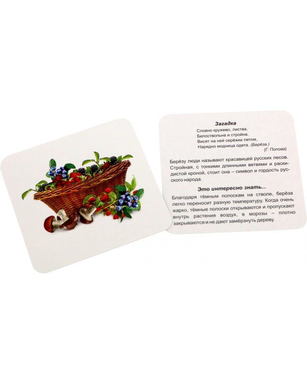 Времена года. Лето. 12 развивающих карточек