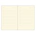 Ежедневник недатированный, Beige, А5