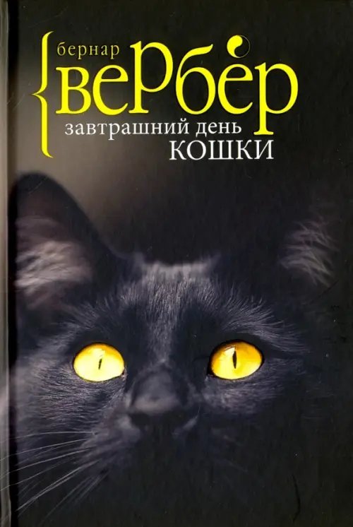 Завтрашний день кошки Завтрашний день кошки