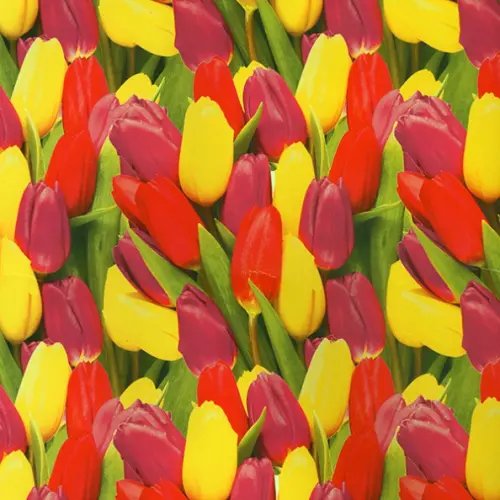 Бумага упаковочная Тюльпаны