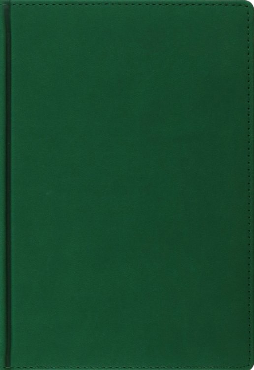 Обложка книги «Ежедневник на 2023 год Velvet, 168 листов, А5, зеленый»