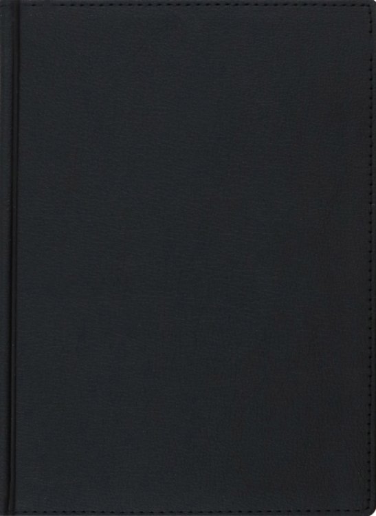 Обложка книги «Ежедневник на 2023 год Leader, 168 листов, А5, черный»