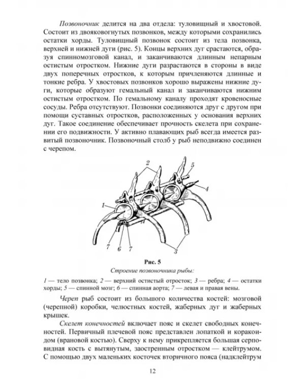 Позвоночные животные. Учебное пособие