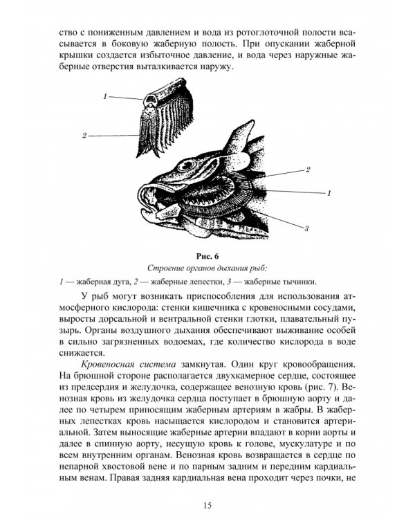 Позвоночные животные. Учебное пособие
