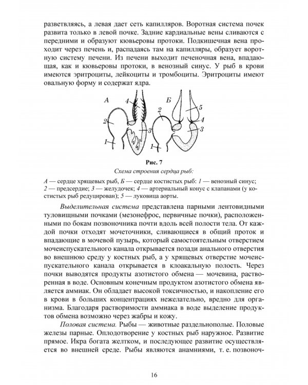 Позвоночные животные. Учебное пособие